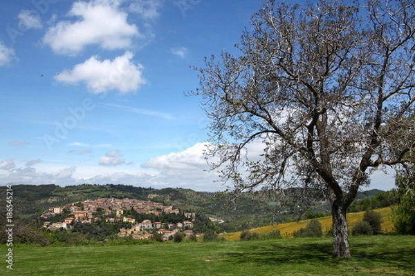 Obraz Tuscan landscape