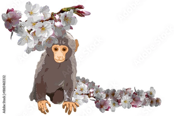 Obraz Snow monkey with Cherry blossom