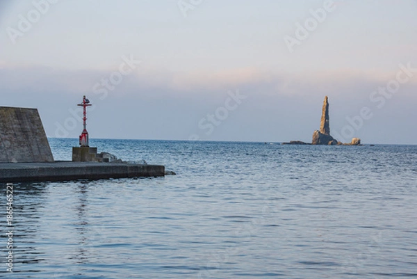 Obraz path in the woods