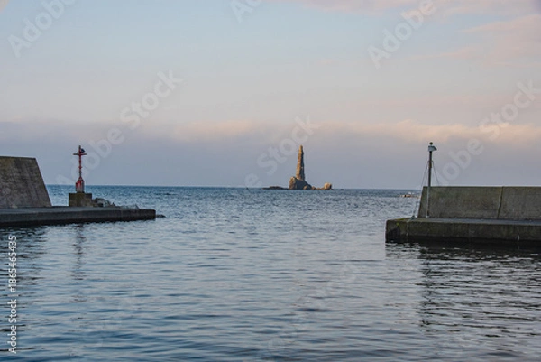 Obraz path in the woods