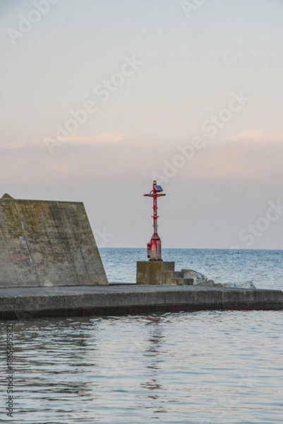 Obraz path in the woods