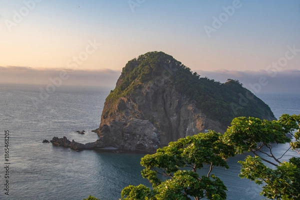 Obraz path in the woods