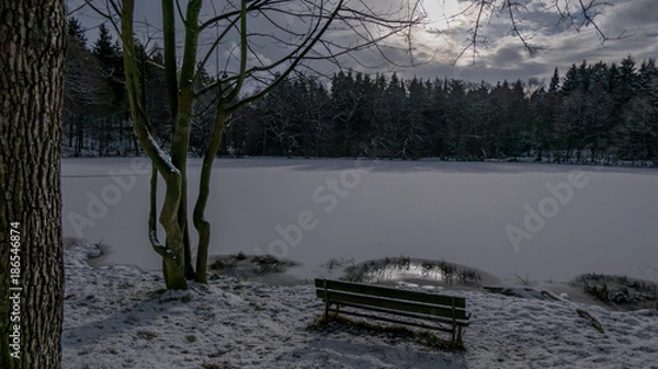 Fototapeta Winterlandschaft