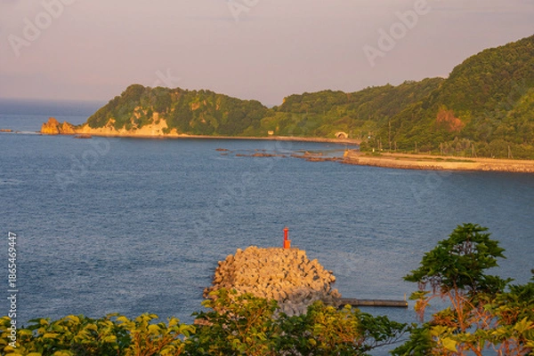 Obraz path in the woods