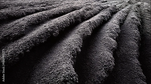 Obraz Dark soil furrows create a textured natural pattern
