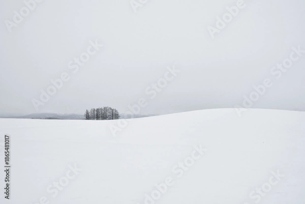 Obraz 富良野　冬　雪景色