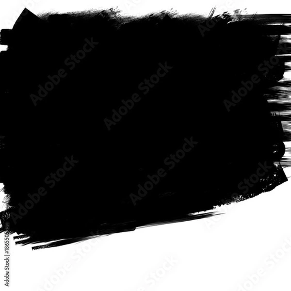 Obraz Rough vector brush stroke with dry paint texture
