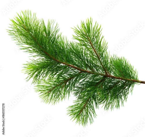 Obraz A thin green tree branch with no leaves