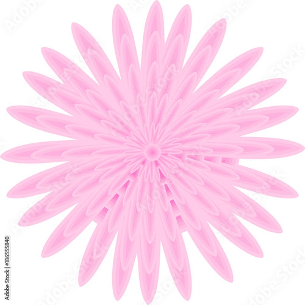 Obraz Pink Daisy