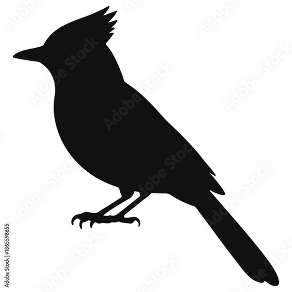 Obraz Blue jay bird silhouette vector design