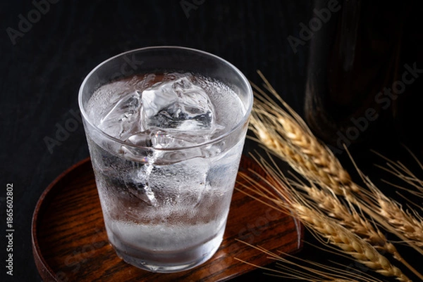 Obraz 日本の麦焼酎のロック