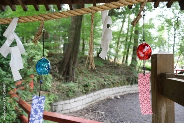 Fototapeta ふうりん　夏の境内