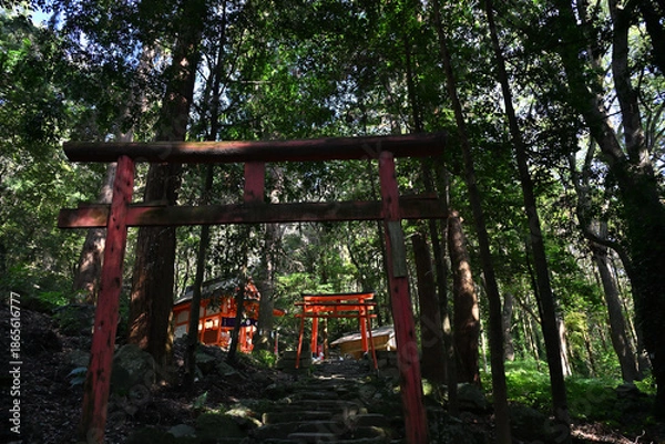 Obraz 鹿児島神宮にある稲荷神社の参道