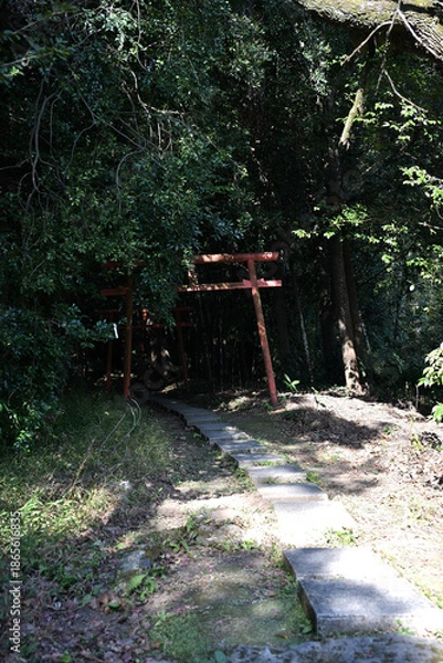 Obraz 稲荷神社に続く鳥居の景色