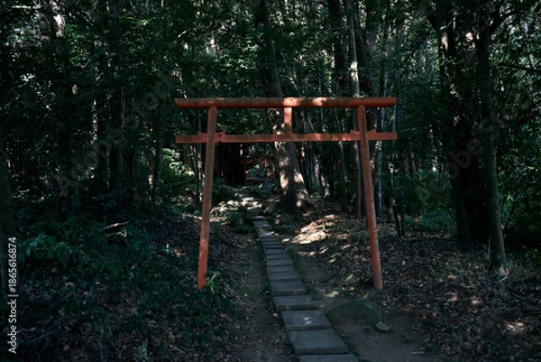 Obraz 森の中にある神秘的な鳥居