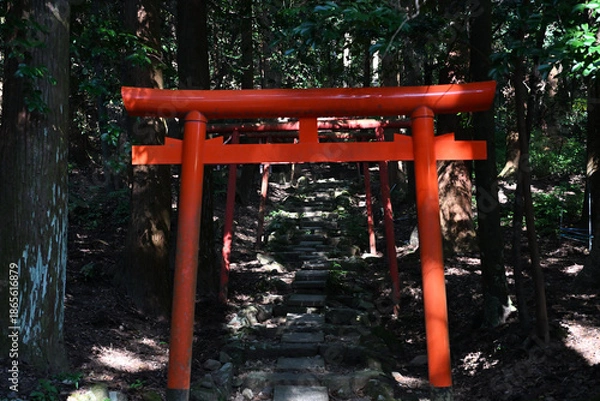 Obraz 稲荷神社の参道にある正面から見る鳥居