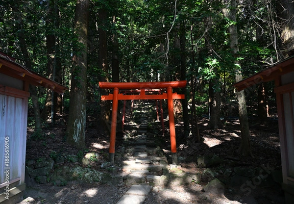 Obraz 稲荷神社がある鹿児島神宮の風景