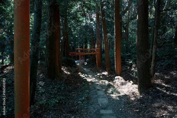 Obraz 静かな森の中にある稲荷神社の鳥居