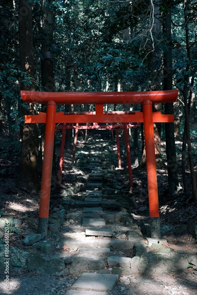 Obraz 神秘的が鳥居が並ぶ霧島神宮の神社