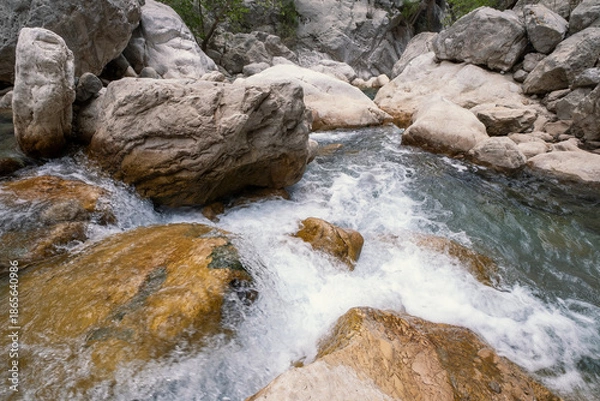 Obraz mountain river stream