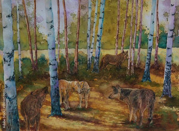 Obraz Wolves in the Woods