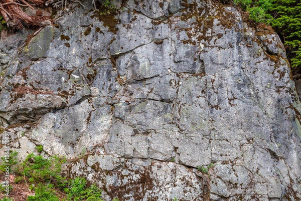 Obraz Rugged Mossy Rock Face With Cracks and Greenery in British Columbia, Canada