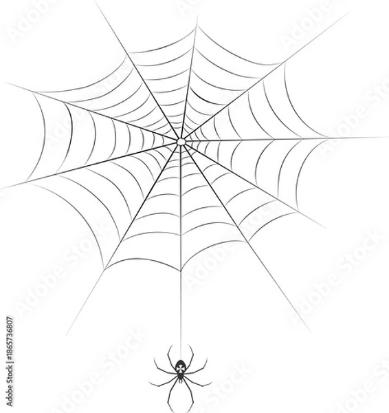 Obraz Spider in the web icon