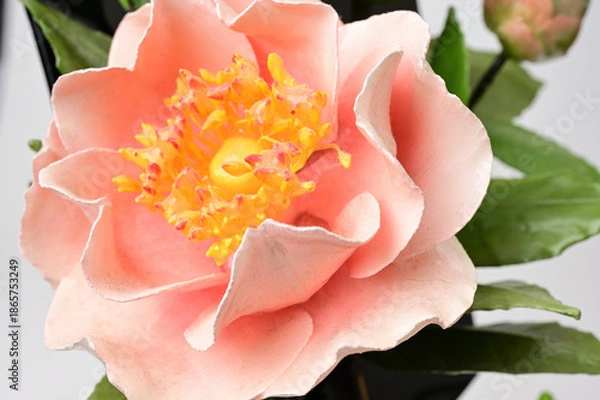 Obraz 華やかなお正月飾り部分06