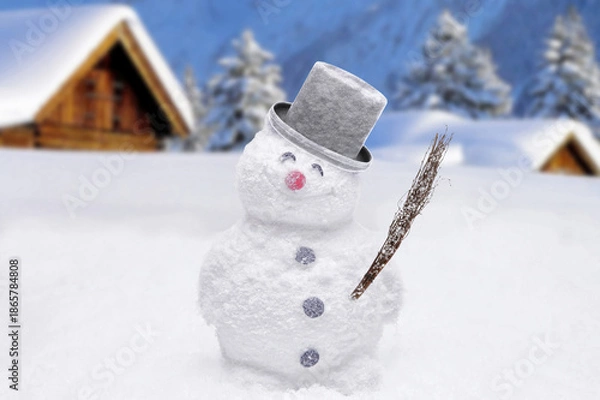 Fototapeta Schneemann