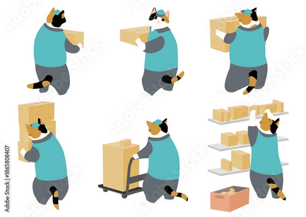 Obraz ダンボール箱を運ぶ三毛猫　引越し　宅配