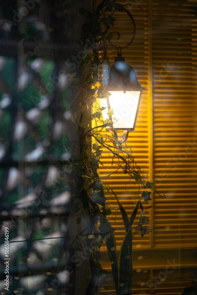 Obraz Indoor lamp behind windows.