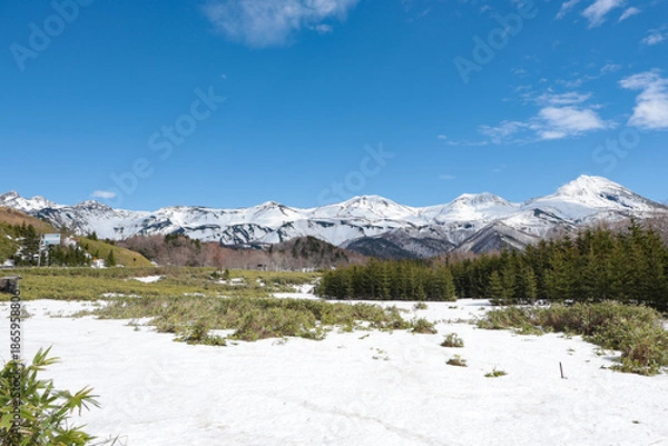 Obraz 早春の知床連山