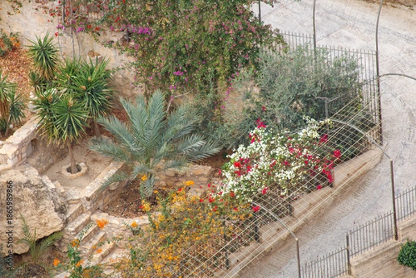 Obraz flowers on the stone wall