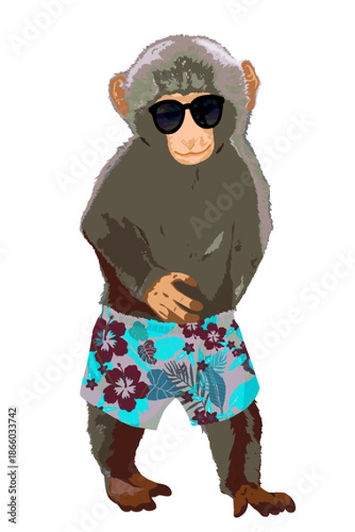 Obraz Cute monkey wearing a sunglasses