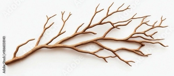 Obraz Image featuring dead tree branches showcasing cracked bark.