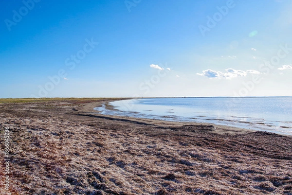 Obraz 立ち枯れたトドマツ林が続く野付半島のトドワラ