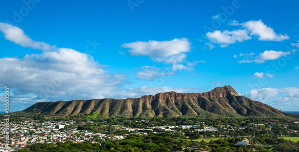 Fototapeta Diamentowa głowa na Hawajach