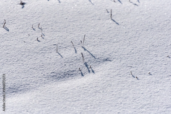 Fototapeta 하얗고 차가운 눈밭