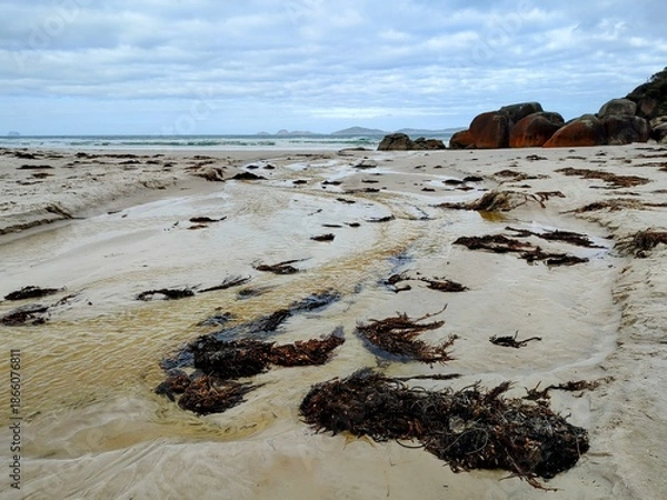 Obraz beach and rocks