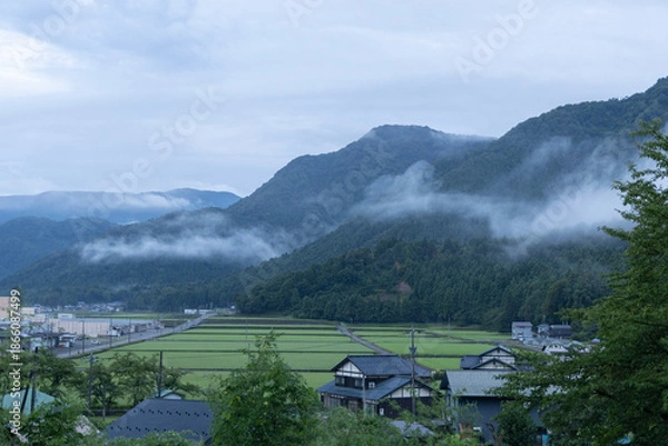 Obraz 初夏の田舎