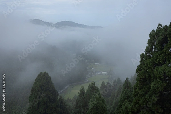 Obraz 霧中の暮らし