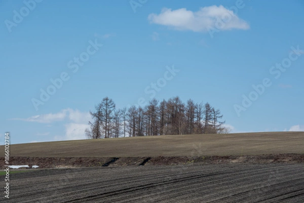 Obraz 雪が残る春の畑と青空
