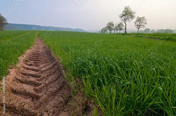 Obraz Landwirtschaft