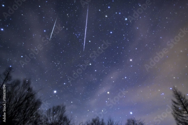 Obraz ふたご座流星群