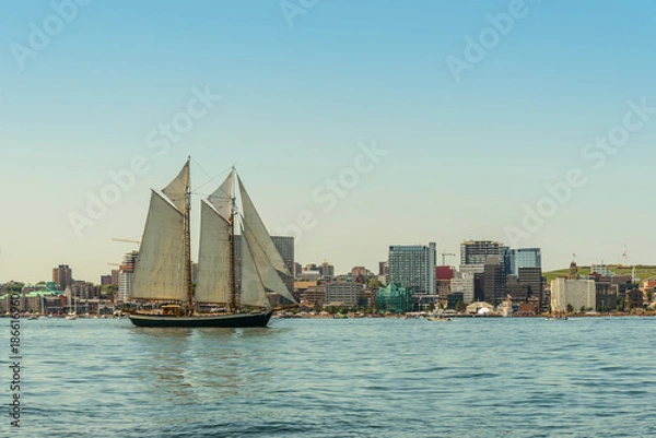 Fototapeta Tall ship in the harbour with Halifax downtown skyline on a sunny day