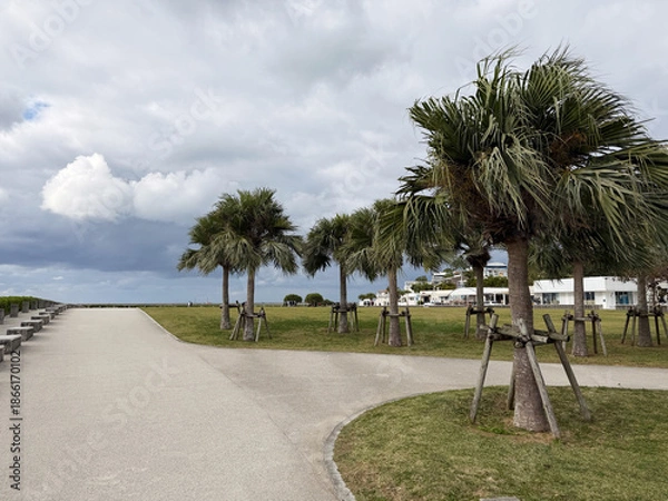 Obraz 海岸の街道