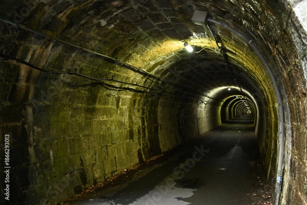 Fototapeta 伊世賀美隧道（旧伊勢神トンネル）