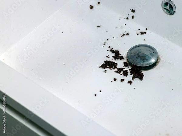 Obraz  tea into a kitchen sink