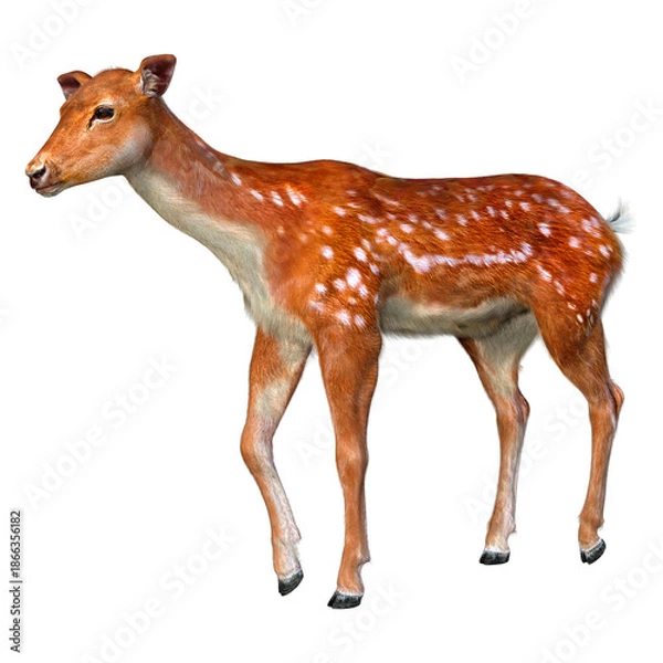 Obraz 3D Rendering Deer on White