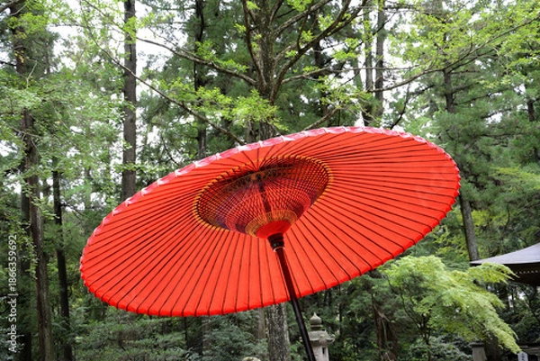 Obraz 番傘